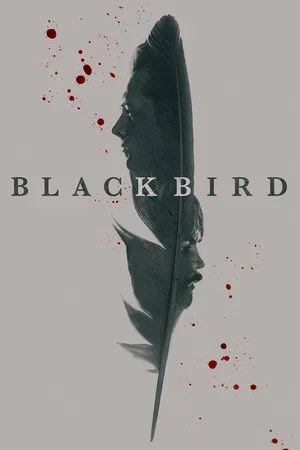 Постер к материалу Чёрная птица